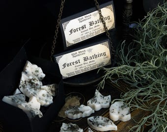 Peut inclure: Des fondants de cire blancs en forme de feuilles, parsemés de taches sombres, sont présentés sur une surface en bois. L'image comprend des étiquettes "Forest Bathing" et "Coconut Wax Melts" de Wolf Wytch Apothecary.