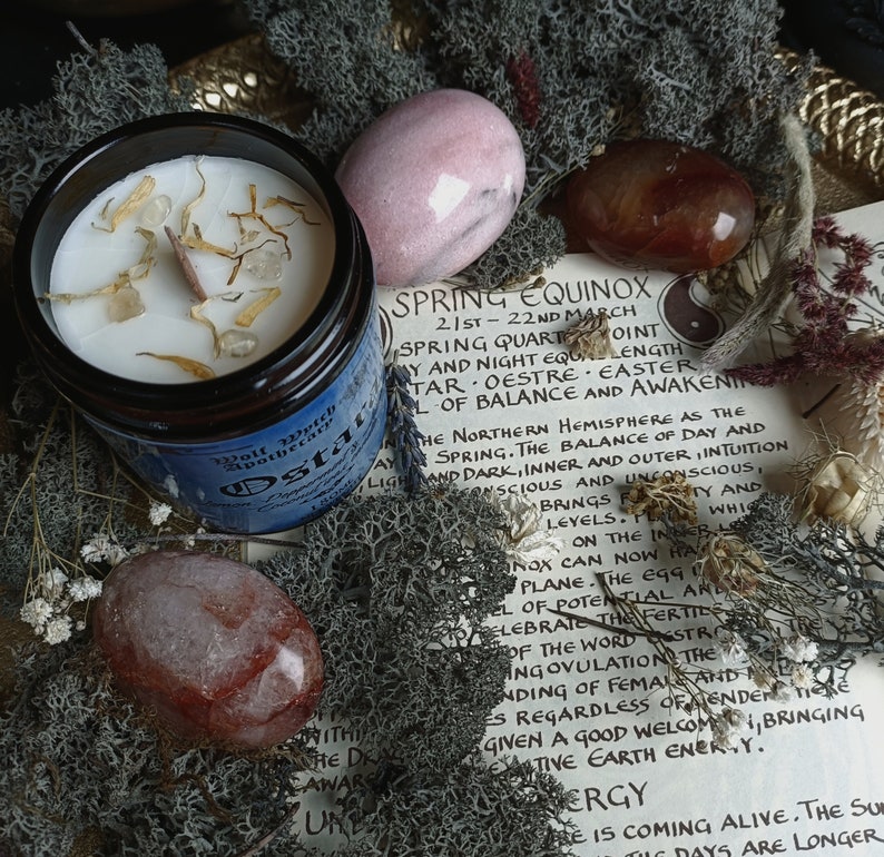 May include: A white candle with dried flowers and crystals inside a glass jar with a blue label that reads "Ostara" and "Wolf Witch Apothecary". The candle is surrounded by pink and red stones and a piece of paper with the text "Spring Equinox 21st-22nd March Spring Quarter Joint Day and Night Equal Length Star, Oestre, Easter L of Balance and Awakening The Northern Hemisphere as the Spring. The Balance of Day and Night, Inner and Outer, Intuition and Darkness, Inner and Unconscious, Brings... Levels.  Plan on the Inn... Nox can now have... Plane. The Egg... El of Potential and Celebrate the Fertility of the Word... Str... ing Ovulation The... Inding of Female and... Es Regardless of Gender... Given a good welcome, bringing Creative Earth Energy. Ergy... e is coming alive. The Sun... The Days are Longer..."