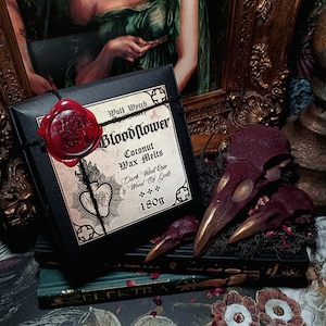 Bird Skull Wax Melts, Witchy Love Gift, Romantic Dark Academia Gift, Witchcraft Wax Melts, Raven Gothic Wax Melts