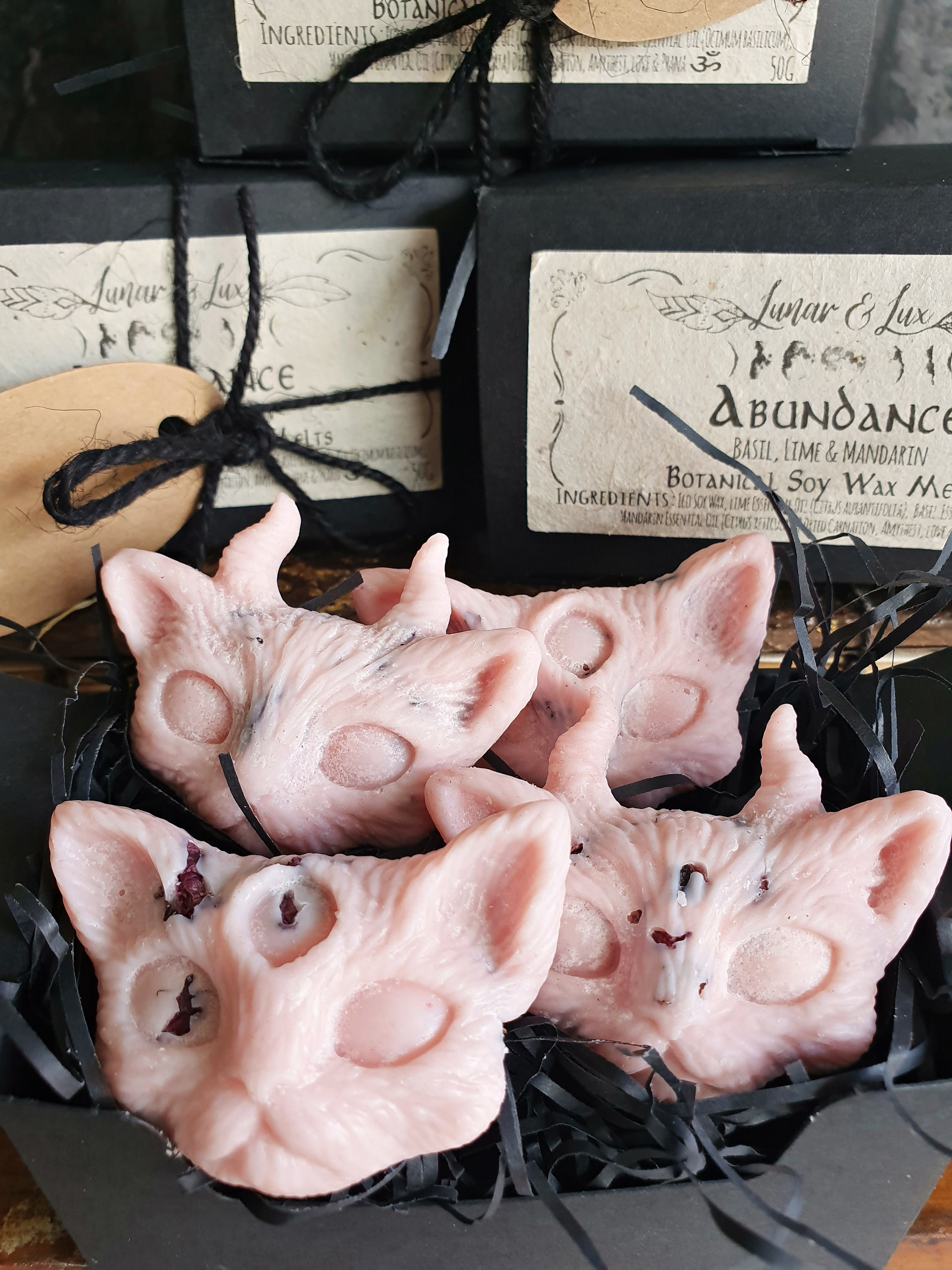 Devil Kitty Wax Melts Cat Soy Wax Melts Witchy Wax Melts Etsy