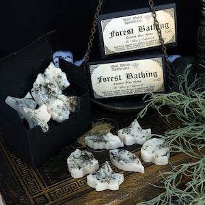 Forest Bathing / Vegan Wax Melts, Botanical Wax Melts, Dark Academia Gift, Natural Wax Melts, Woodland Gift