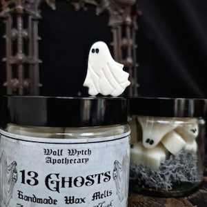 Gruselige Geist Wachs Melts, Samhain Wachs Melts, Halloween Wachs Melts, Witchy Wachs Melts