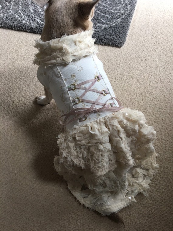 unique dog clothes