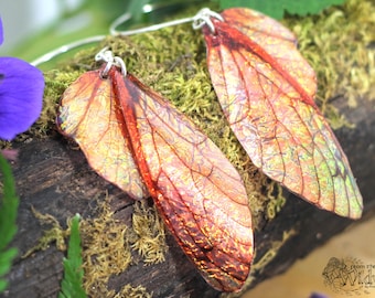 Autumn Fairy Wing Earrings. Medium copper and bronze iridescent faerie wings on a choice of ear wires.