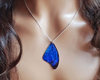 Blue morpho butterfly wing necklace. Handmade cruelty free iridescent butterfly wing.