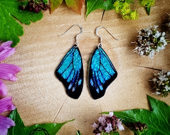 Turquoise butterfly wing earrings on sterling silver ear wires.
