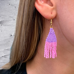 Multicolor Seed Bead Fringe Earrings: Boho Dangle Earrings