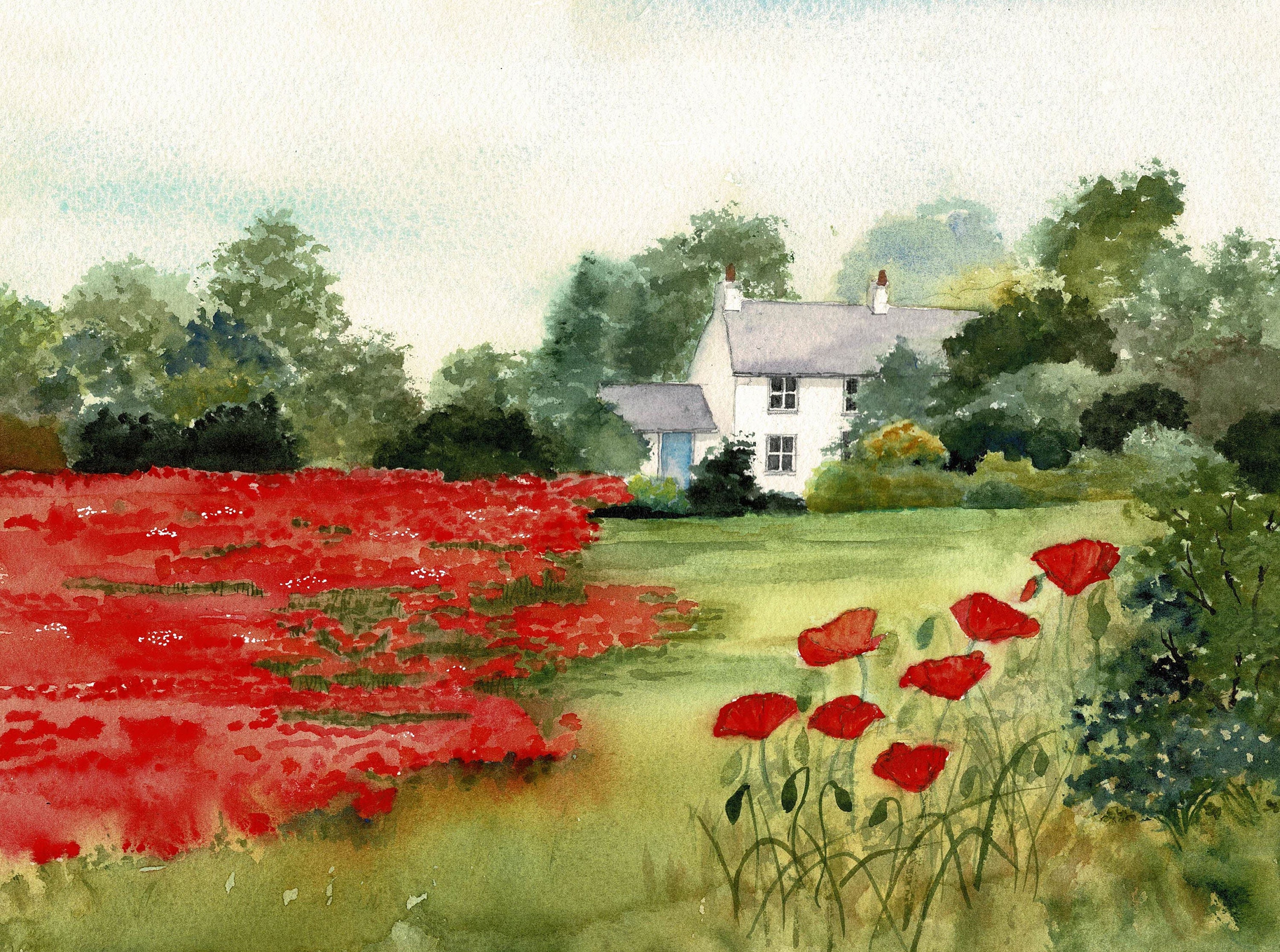 watercolor wall art Watercolor painting country painting poppies