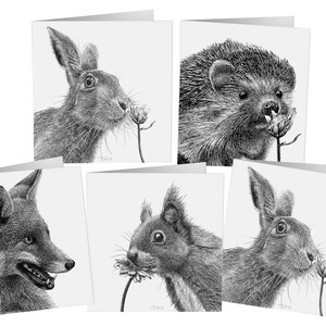 Pacchetto carte fauna selvatica, volpe, riccio, lepre, scoiattolo, fauna selvatica, natura, animali, foresta, bosco, carta, confezione multipla, pacchetto selezione, compleanno