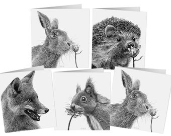 Hand Drawn Wildlife Card Pack: Fox, Hare, Hedgehog, Squirrel