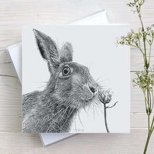 Hase, Kaninchen, Wildtiere, Tiere, Natur, Wald, Wald, Hase Kunst, Grüße, Karte, Geburtstag, Freund, Blankokarte, Für Ihn, Für Sie,