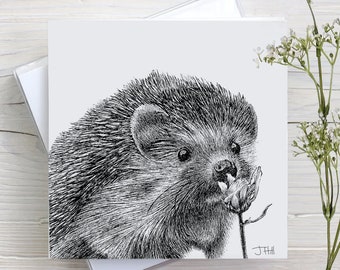 Hedgehog Greetings Card: Pen and Ink Wildlife Art