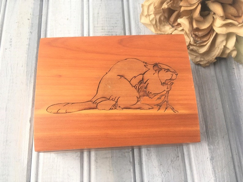 Carved Cedar Wood Box Wood Trinket Box Carved Trinket Box Collector Wood Box Cedar Box Keepsake Box Beaver Wood Box