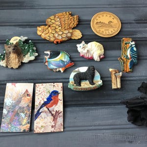 Vintage Fridge Magnets / Fridge Magnets / Vintage Magnets / Fridge Magnet Lot / Vintage Kitchen / Retro Kitchen / Kitchen Magnets