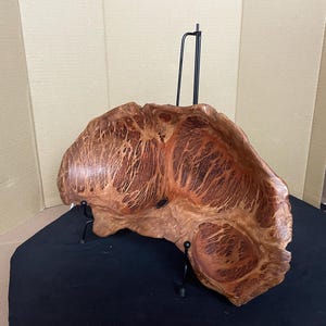 Australian Red Coolibah Burl Hand Carved Bowl  3 in height width or tall 8 inch and length 14 inch