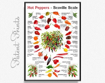 Hot Chili Pepper Poster, Chili Pepper Art, Scoville Scale, Chili Pepper Decor, Spices Poster, Chili Pepper Print, Pepper Gifts, Chili Pepper