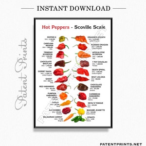 Chili Pepper Poster, Chili Pepper Art, Scoville Scale, Chili Pepper Decor, Spices Poster, Chili Pepper Print, Pepper Gifts, Chili Pepper