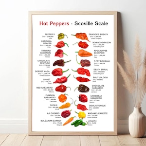 Póster artístico con escala Scoville y decoración de chiles picantes