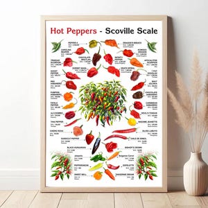 Poster di peperoncino piccante / Decorazione artistica della scala di Scoville