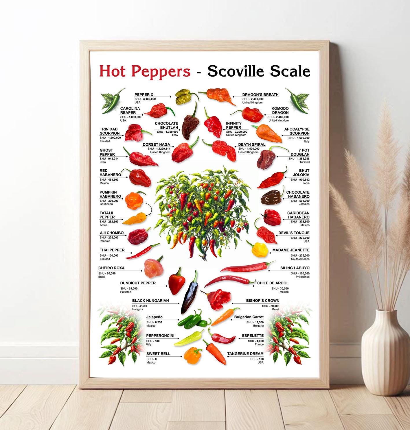 thumbnail image 2 of Chilli Pepper Knowledge Metal Tin Sign Types Of Chillies Chart Wallart Artwork Poster Farm School Office People Cave Bedroom Li 2 of 13