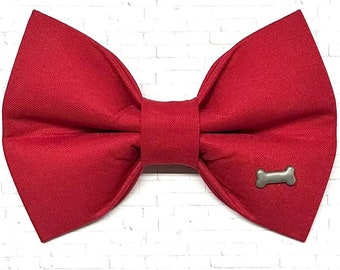 Red Dog Bow