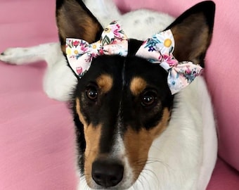 Flower Double Bows on Nylon Headband/Poppy/Daisy/Paisley