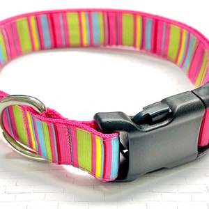 1" Pink Stripes Dog Collar