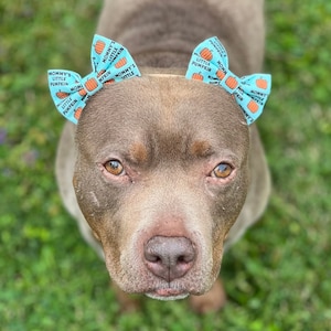 Bows for girl dogs hot sale