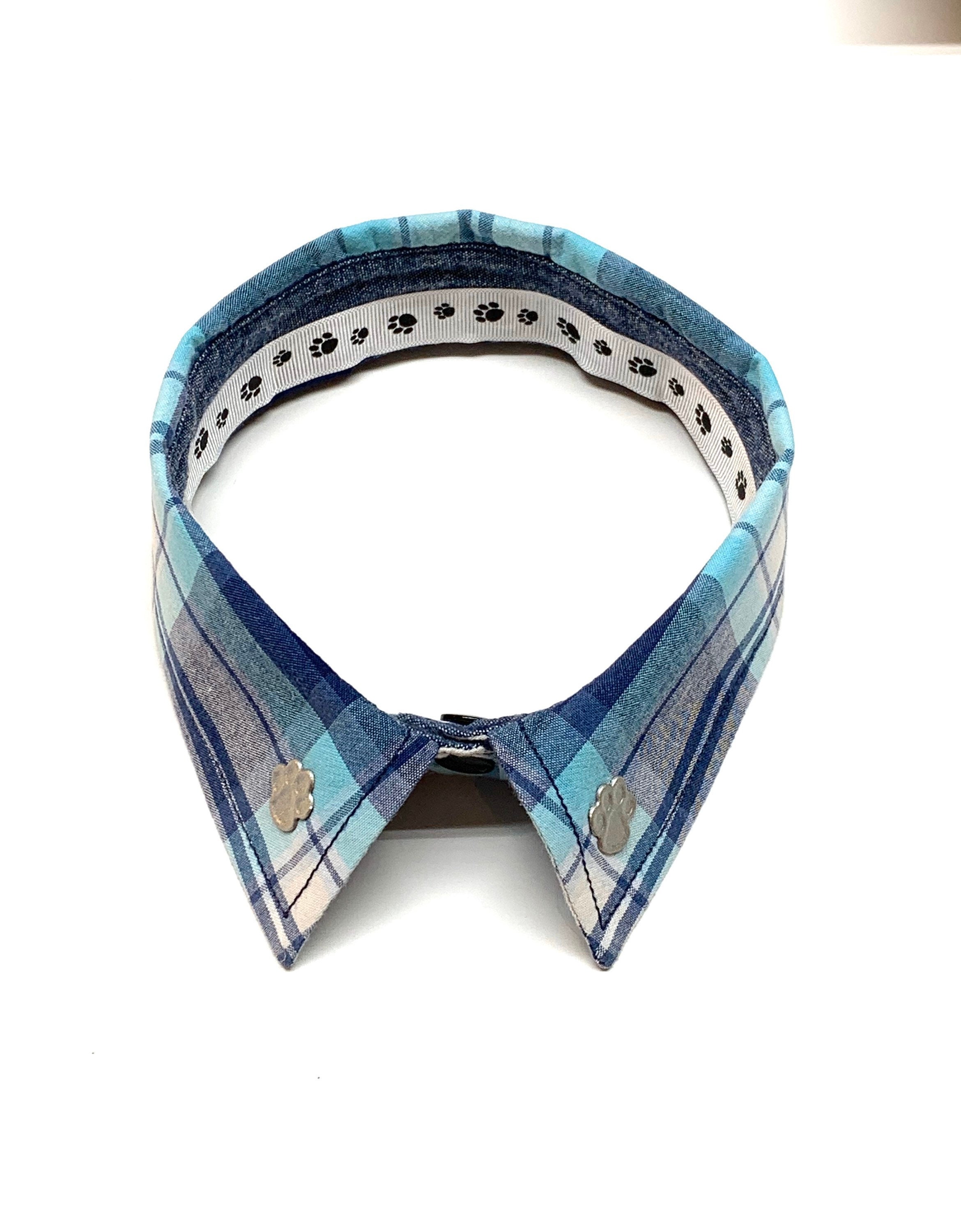 dog shirt collar and tie pattern