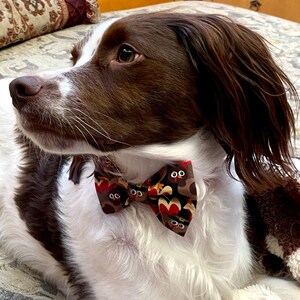 May include: A brown and white dog wearing a patterned bow tie. The bow tie features a repeating pattern of cartoon owls in shades of brown, red, and orange. The dog is lying down on a patterned surface.