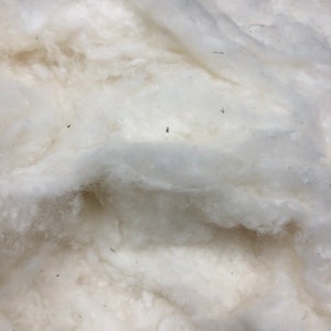 May include: A close-up of a large pile of white cotton fibers. The fibers are soft and fluffy, and they are arranged in a random pattern.