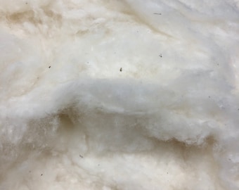 1 lb GOTS Certified Organic Cotton Stuffing Pieces