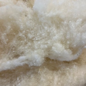 5 LB Lambswool Natural White Clean Fluffy Classic Fiber for Toy Stuffing &  Filling