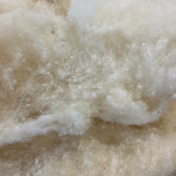 Stuffing Wool - sold by the pound