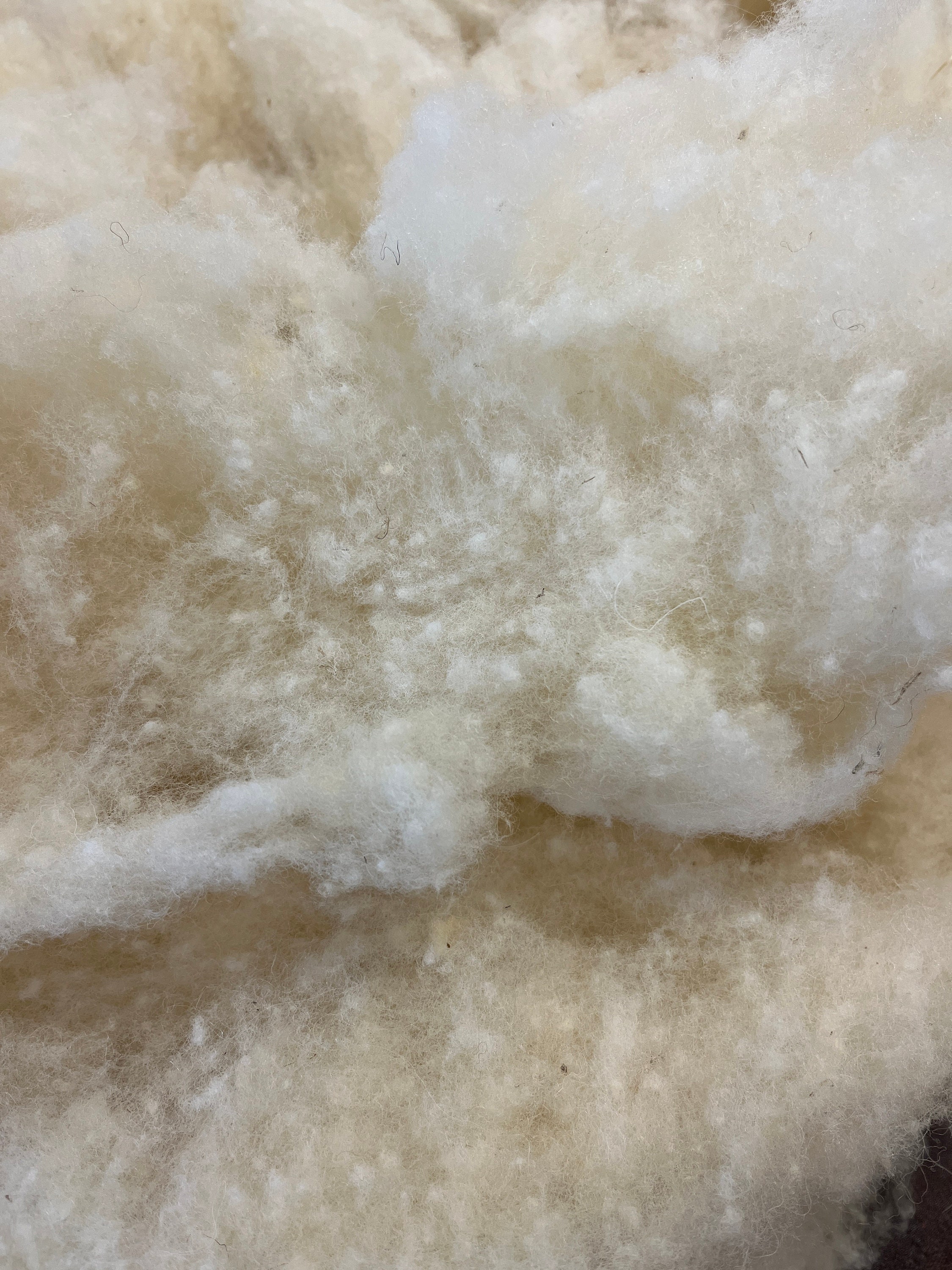 1 LB Core Wool Needle Felting Spinning Wet Felting Stuffing by Walking Palm  