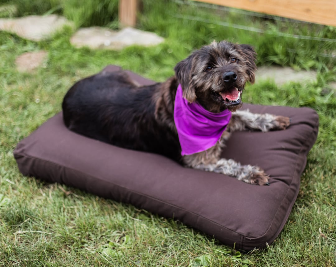 Cotton Canvas Dog Bed Cover Only Etsy