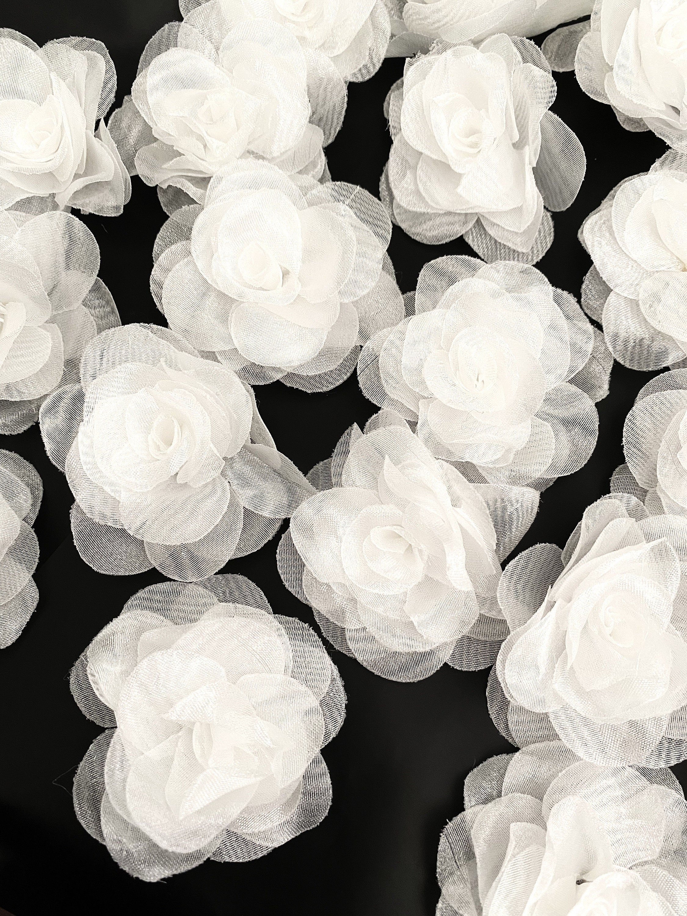 DMiotech Nastro Di Organza Trasparente – Colore Champagne – 100 Iarde (91 Metri) – Larghezza 0,6 Cm – Per Regali E Fiori