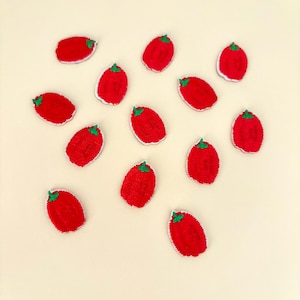 Set of 2 Mini Bell Pepper Patch Stick On- Small Vegetable Patch Garden Plants, Food Kitchen Iron on Hat Applique - Mini Series Patches