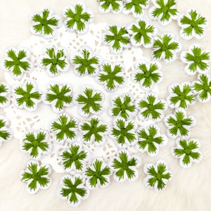 May include: A collection of small, embroidered flower patches. Each patch features a white petal outline with a green, star-shaped center. The patches are scattered on a white, lace-like surface, creating a delicate and handcrafted aesthetic.
