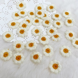 White Embroidered Daisy 12pcs 20mm, Embroidery Applique, Floral Patch, Needle Craft Sewing,Thread Flowers, Crochet Craft Flowers, Mini Daisy