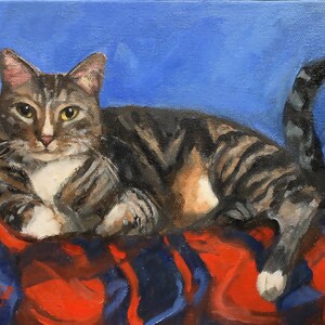 May include: A tabby cat with green eyes lies on a red and blue blanket. The cat has a white chest and paws. The cat's tail is curled around its body.