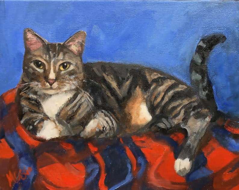 May include: A tabby cat with green eyes lies on a red and blue blanket. The cat has a white chest and paws. The cat's tail is curled around its body.