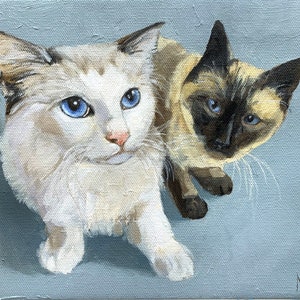 May include: A painting of two cats, one white with blue eyes and one Siamese with blue eyes, looking up at the viewer.
