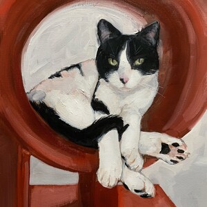 May include: A black and white cat with green eyes sits inside a red circular cat toy. The cat is looking directly at the viewer.