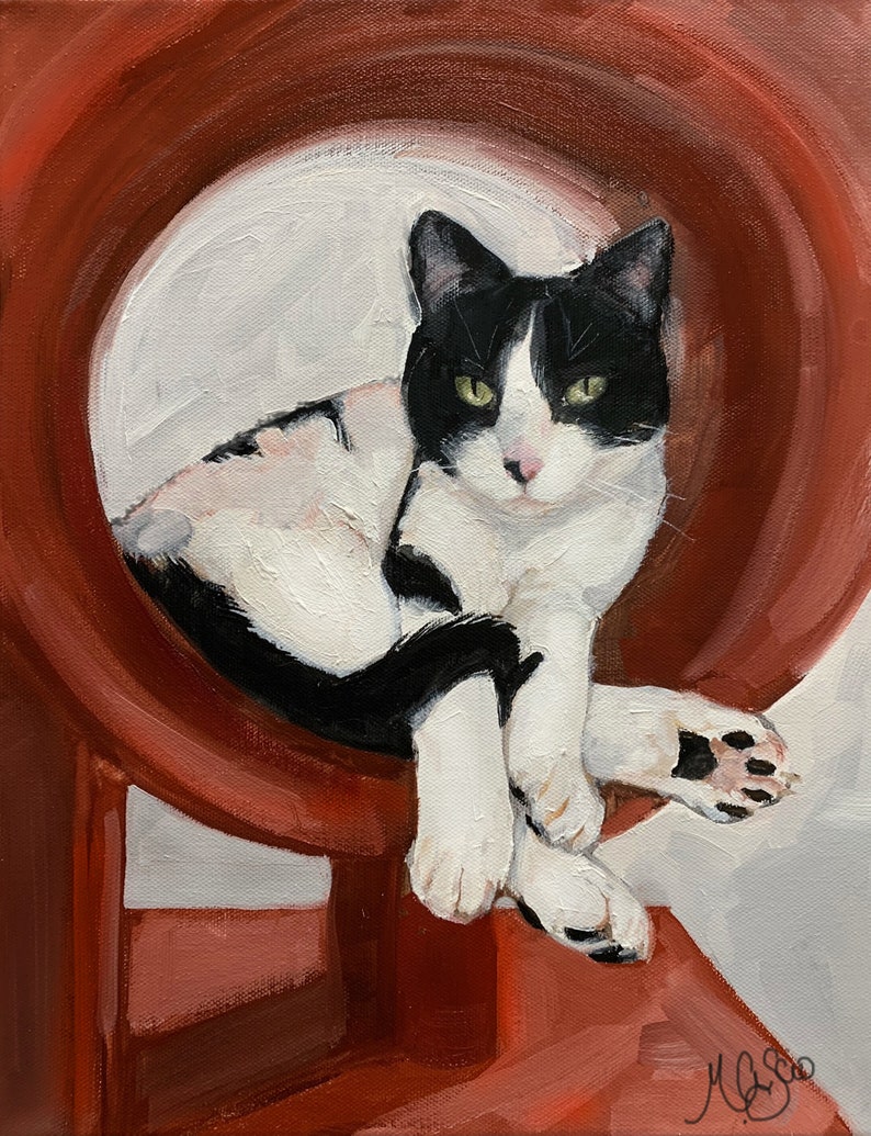 May include: A black and white cat with green eyes sits inside a red circular cat toy. The cat is looking directly at the viewer.