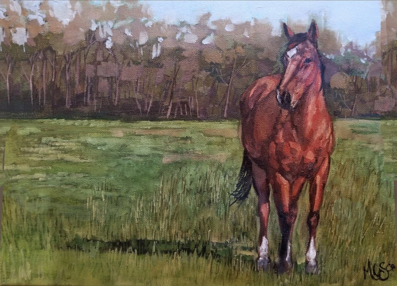 Custom Horse Portrait Custom Farm Animal Oil Painting Custom Pet Portrait Photo to Painting Commissioned Oil Painting Horse Painting - .br Custom Horse Portrait Custom Farm Animal Oil Painting Custom Pet Portrait Photo to Painting Commissioned Oil Painting Horse Painting - .br