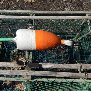 Free SHIPPING 225 Maine Lobster buoy pot BUOY float shrimp crab Pool Tiki Ocean seashore nautical Lake cape cod