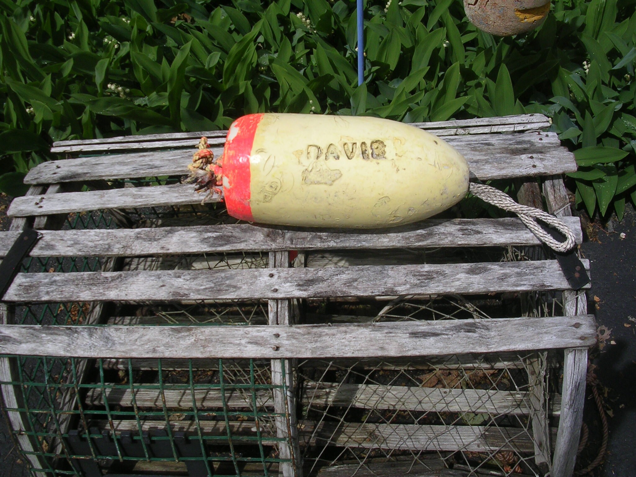 151 Maine Lobster buoy pot BUOY 028 float shrimp crayfish crab Etsy