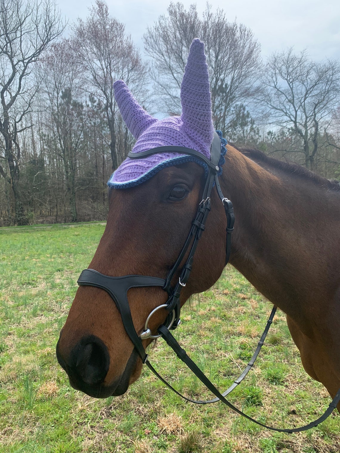 Horse Ear Pattern Etsy