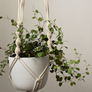 EASY Macrame pattern for modern plant hanger, BEGINNER diy macrame tutorial, step-by-step PDF knot guide, how to make simple macrame planter image 4